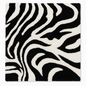 Black & White Zebra Print Shaggy Rug – Modern Animal Pattern Carpet